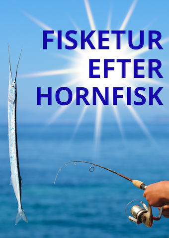 Fisketur efter Hornfisk - Klik for at tilmelde dig