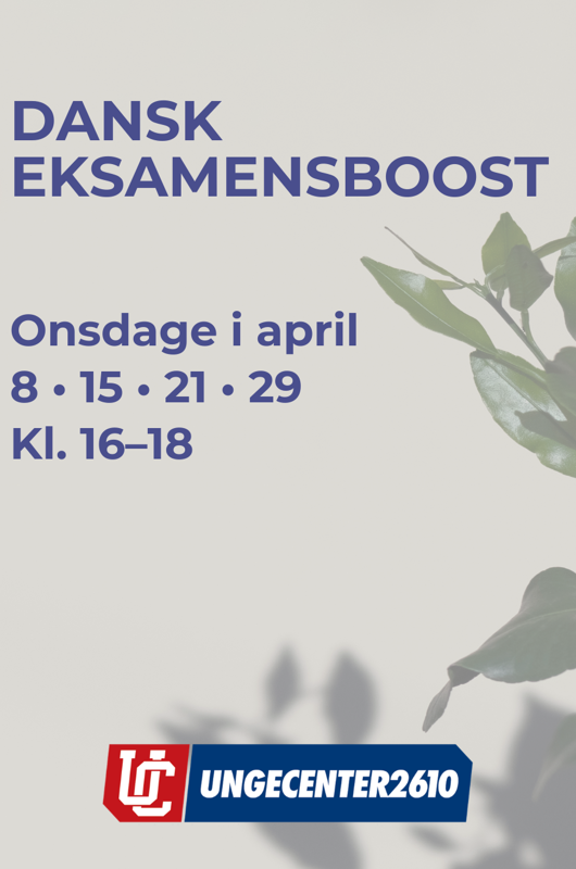 Dansk eksamenboost