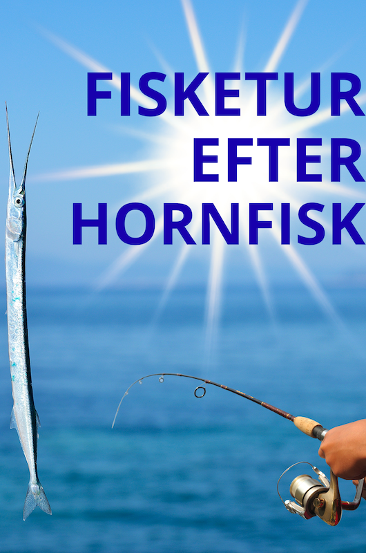 HORNFISK